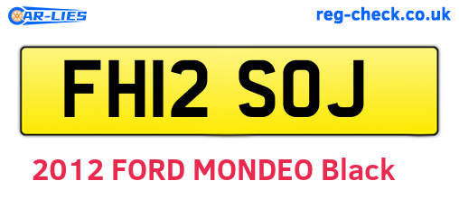 FH12SOJ are the vehicle registration plates.