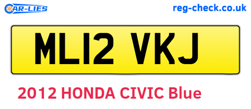 ML12VKJ are the vehicle registration plates.