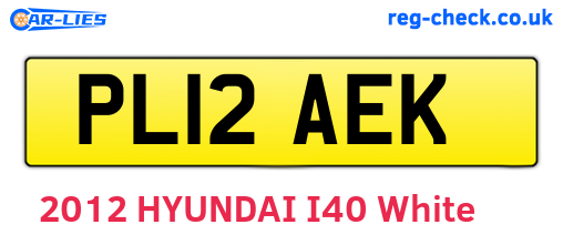 PL12AEK are the vehicle registration plates.