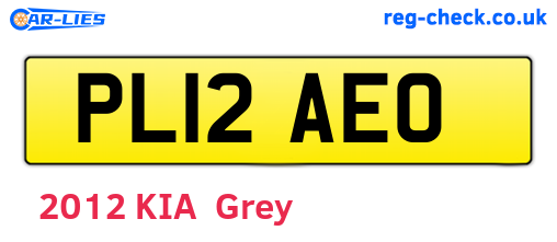 PL12AEO are the vehicle registration plates.