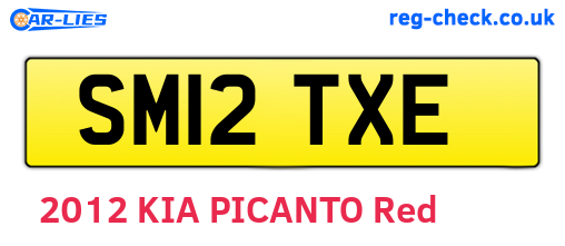 SM12TXE are the vehicle registration plates.