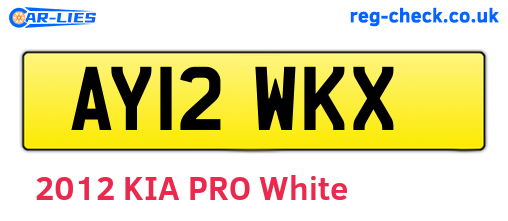 AY12WKX are the vehicle registration plates.