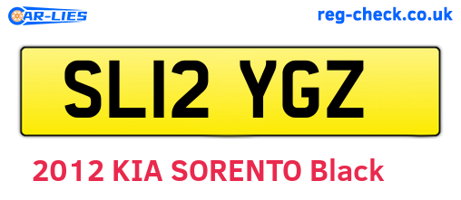 SL12YGZ are the vehicle registration plates.