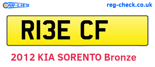 R13ECF are the vehicle registration plates.