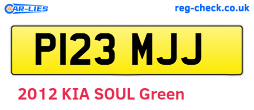 P123MJJ are the vehicle registration plates.