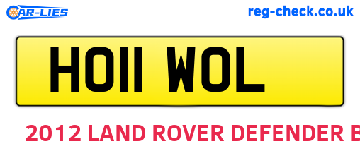 HO11WOL are the vehicle registration plates.