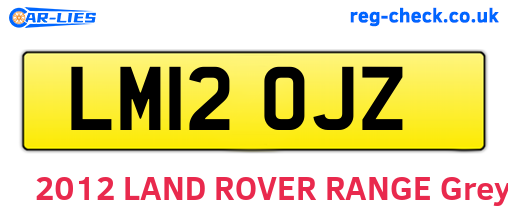 LM12OJZ are the vehicle registration plates.