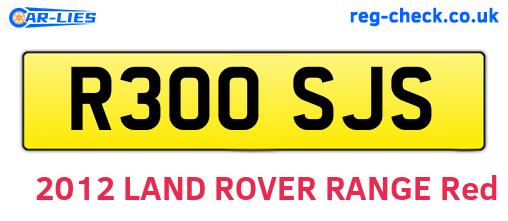 R300SJS are the vehicle registration plates.