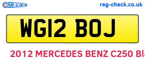 WG12BOJ are the vehicle registration plates.