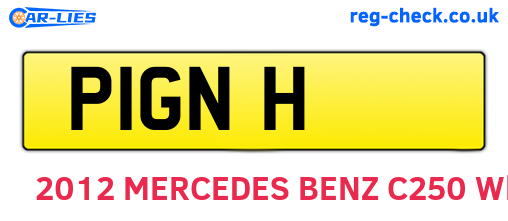 P1GNH are the vehicle registration plates.