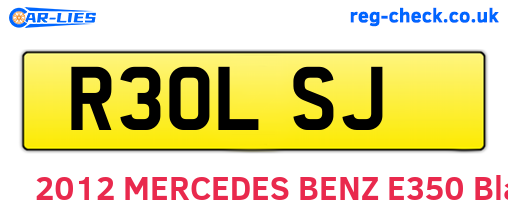 R30LSJ are the vehicle registration plates.