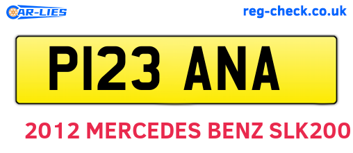 P123ANA are the vehicle registration plates.
