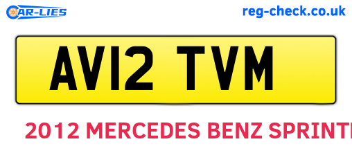 AV12TVM are the vehicle registration plates.
