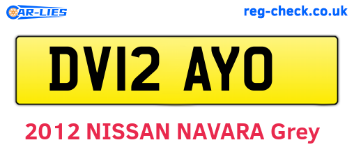 DV12AYO are the vehicle registration plates.