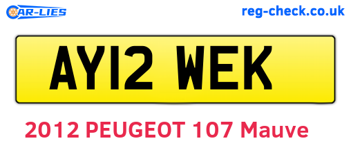 AY12WEK are the vehicle registration plates.