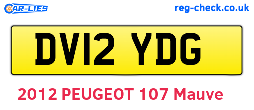DV12YDG are the vehicle registration plates.