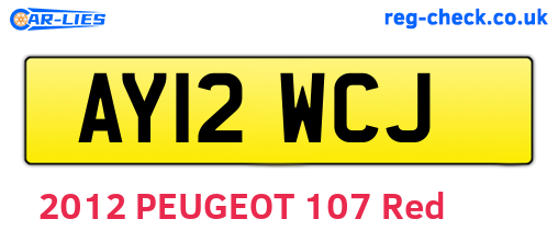AY12WCJ are the vehicle registration plates.