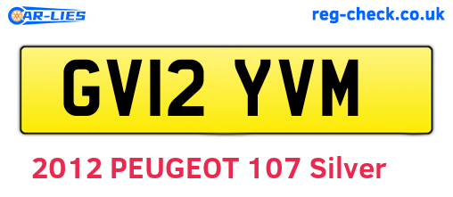 GV12YVM are the vehicle registration plates.