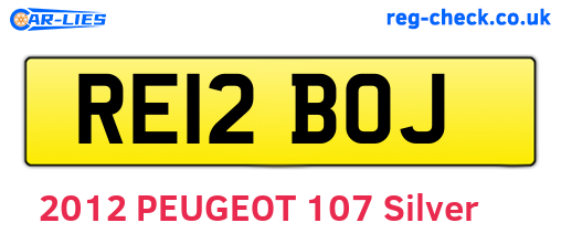 RE12BOJ are the vehicle registration plates.
