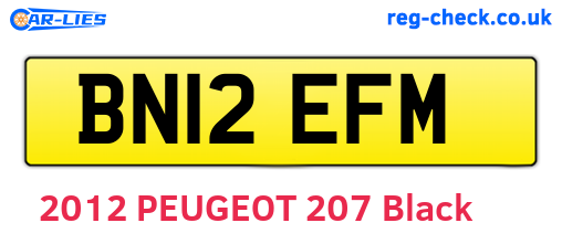 BN12EFM are the vehicle registration plates.
