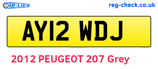 AY12WDJ are the vehicle registration plates.