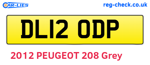 DL12ODP are the vehicle registration plates.