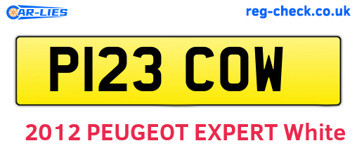 P123COW are the vehicle registration plates.