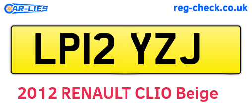 LP12YZJ are the vehicle registration plates.