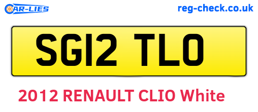 SG12TLO are the vehicle registration plates.