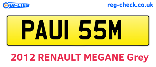 PAU155M are the vehicle registration plates.