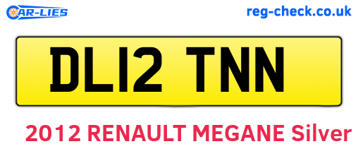 DL12TNN are the vehicle registration plates.
