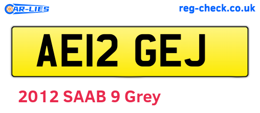 AE12GEJ are the vehicle registration plates.
