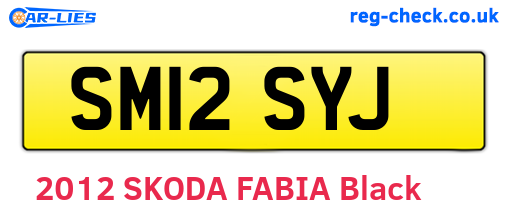SM12SYJ are the vehicle registration plates.