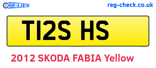 T12SHS are the vehicle registration plates.