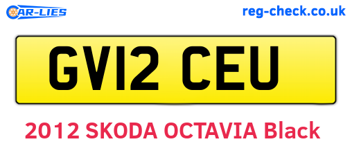 GV12CEU are the vehicle registration plates.