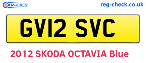 GV12SVC are the vehicle registration plates.