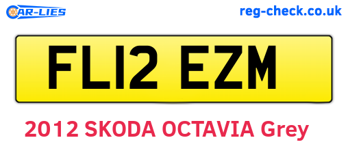 FL12EZM are the vehicle registration plates.