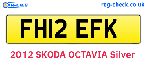 FH12EFK are the vehicle registration plates.