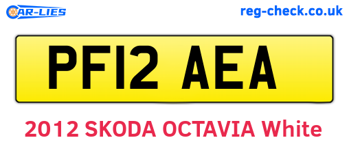 PF12AEA are the vehicle registration plates.