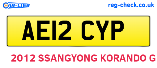 AE12CYP are the vehicle registration plates.