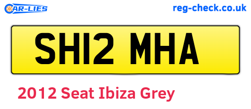 Grey 2012 Seat Ibiza (SH12MHA)