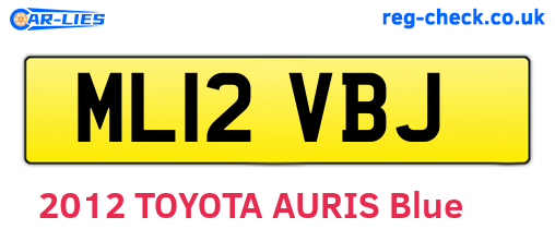 ML12VBJ are the vehicle registration plates.