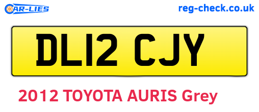DL12CJY are the vehicle registration plates.
