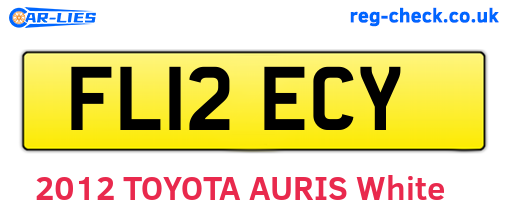 FL12ECY are the vehicle registration plates.
