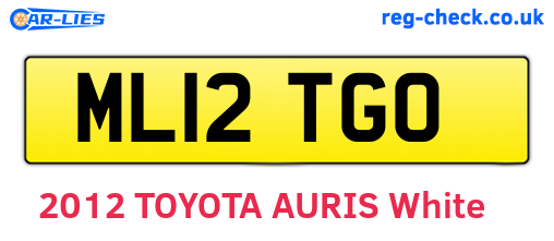 ML12TGO are the vehicle registration plates.