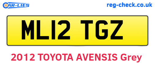 ML12TGZ are the vehicle registration plates.