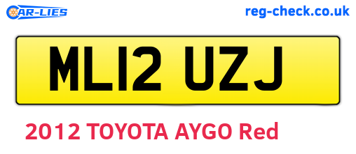 ML12UZJ are the vehicle registration plates.
