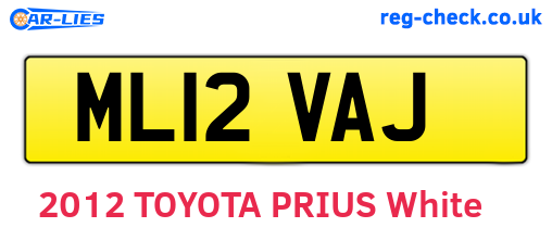 ML12VAJ are the vehicle registration plates.