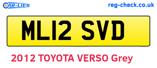 ML12SVD are the vehicle registration plates.