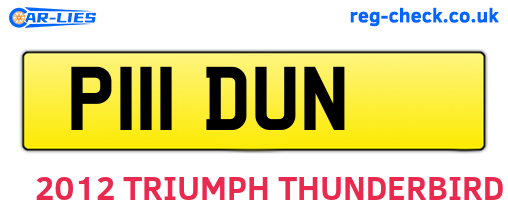 P111DUN are the vehicle registration plates.